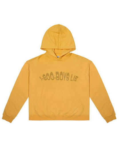1-800-Boys-Lie Hoodie Recreated Edition