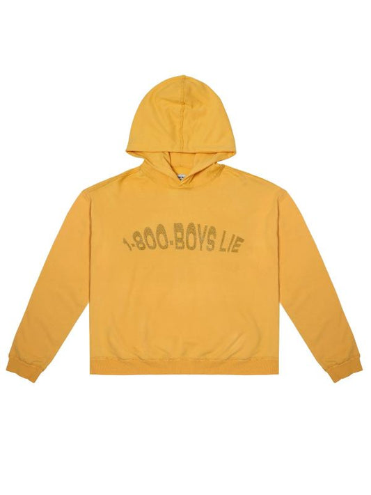 1-800-Boys-Lie Hoodie Recreated Edition