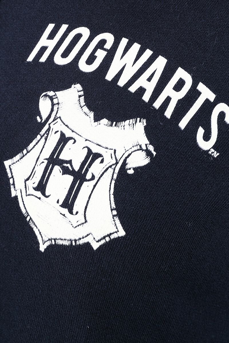 Hogwarts Logo Varsity Jacket multicolour by Harry Potter