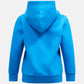 Recreation – Unisex Peak Performance Pullover Hoodie Recreated Edition