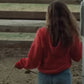 Montana Story Erin Red Hoodie Recreated Edition